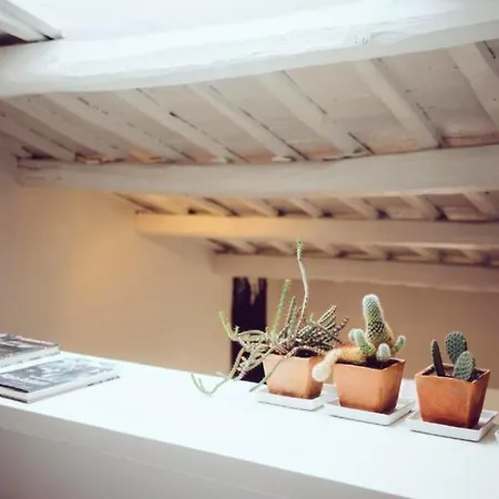 Luxury Art Apartment In Trastevere With Terrace Rome Exterior photo