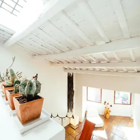 Luxury Art Apartment In Trastevere With Terrace Rome Exterior photo
